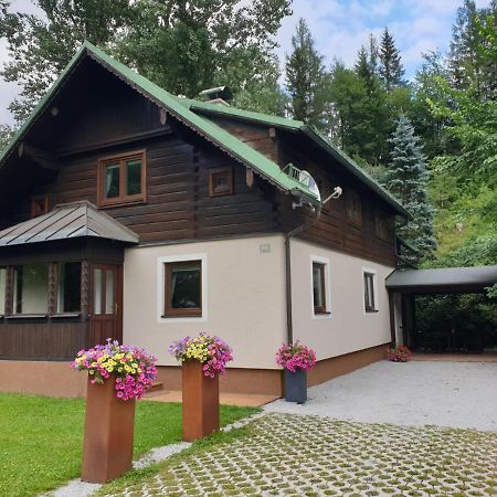 Freeride-Living Villa Annaberg im Lammertal Dış mekan fotoğraf