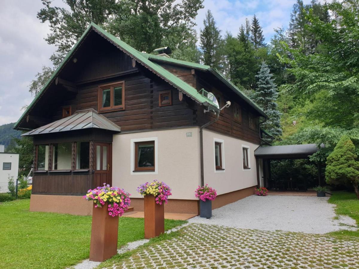 Freeride-Living Villa Annaberg im Lammertal Dış mekan fotoğraf